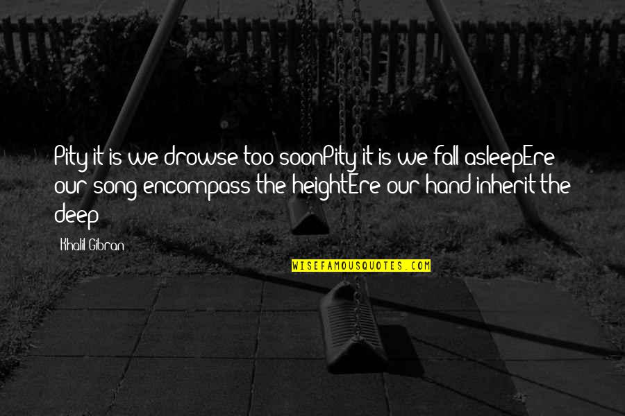 Vitaburst Quotes By Khalil Gibran: Pity it is we drowse too soonPity it Vitaburst Quotes By Khalil Gibran: Pity it is we drowse too soonPity it