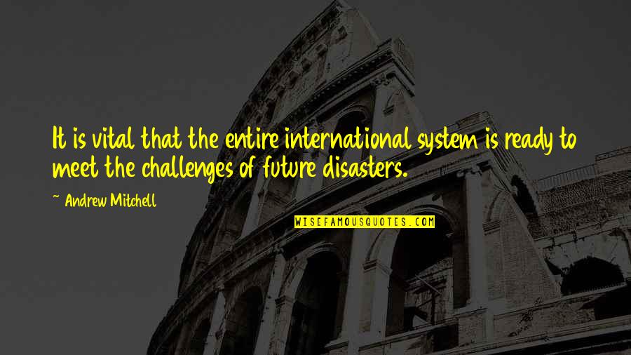 Vital Quotes By Andrew Mitchell: It is vital that the entire international system