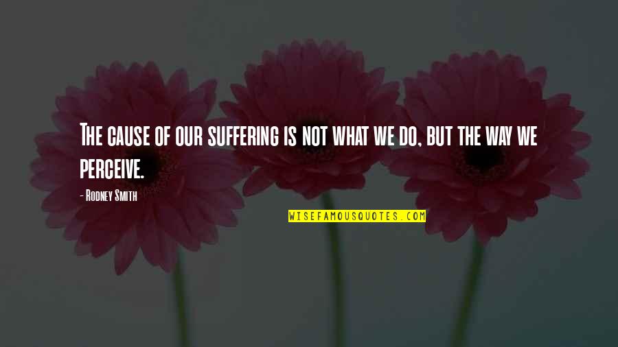 Vitalikum Quotes By Rodney Smith: The cause of our suffering is not what
