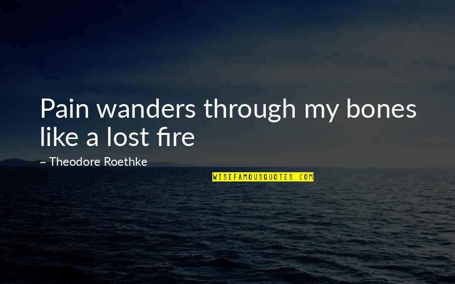 Vitality Extracts Quotes By Theodore Roethke: Pain wanders through my bones like a lost