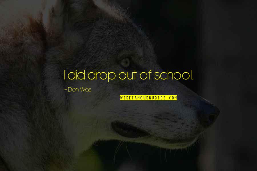 Vitanovics Quotes By Don Was: I did drop out of school. Vitanovics Quotes By Don Was: I did drop out of school.
