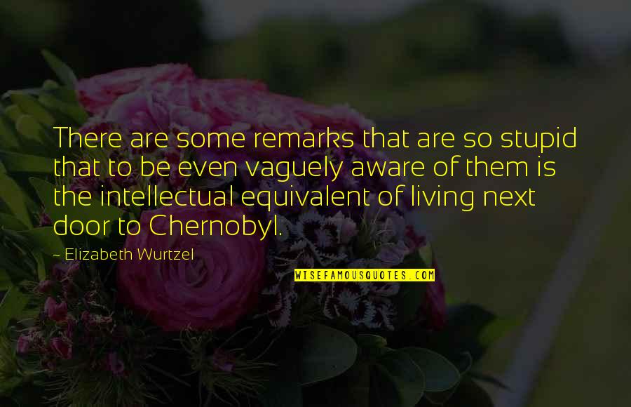 Vitellus Artemia Quotes By Elizabeth Wurtzel: There are some remarks that are so stupid