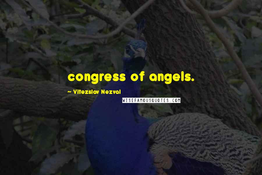 Vitezslav Nezval quotes: congress of angels.