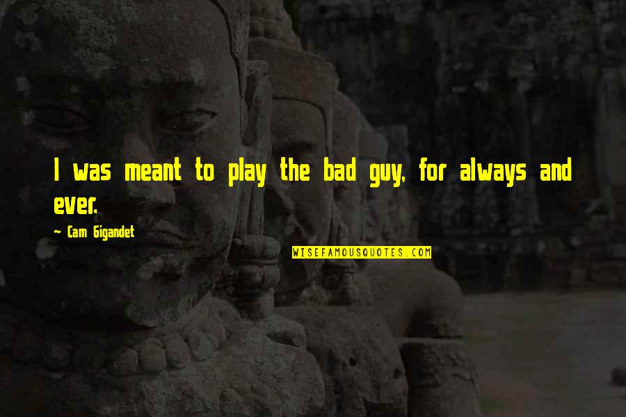 Vitia Quotes By Cam Gigandet: I was meant to play the bad guy, Vitia Quotes By Cam Gigandet: I was meant to play the bad guy,