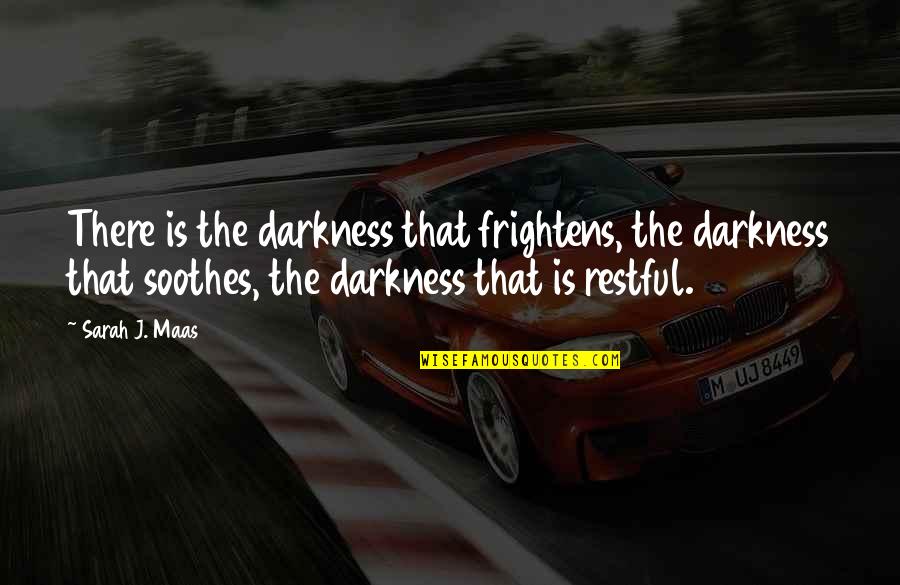 Vitrinas Comerciales Quotes By Sarah J. Maas: There is the darkness that frightens, the darkness Vitrinas Comerciales Quotes By Sarah J. Maas: There is the darkness that frightens, the darkness