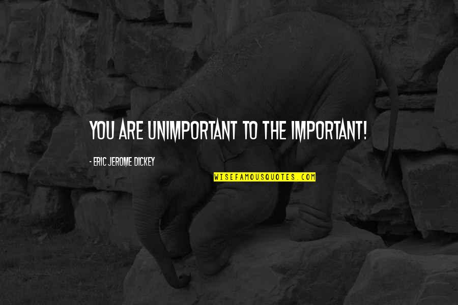 Vittel Quotes By Eric Jerome Dickey: you are unimportant to the important! Vittel Quotes By Eric Jerome Dickey: you are unimportant to the important!