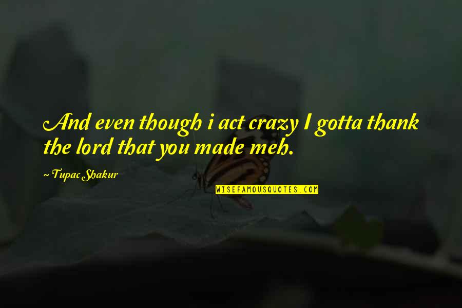 Vittorino Andreoli Quotes By Tupac Shakur: And even though i act crazy I gotta
