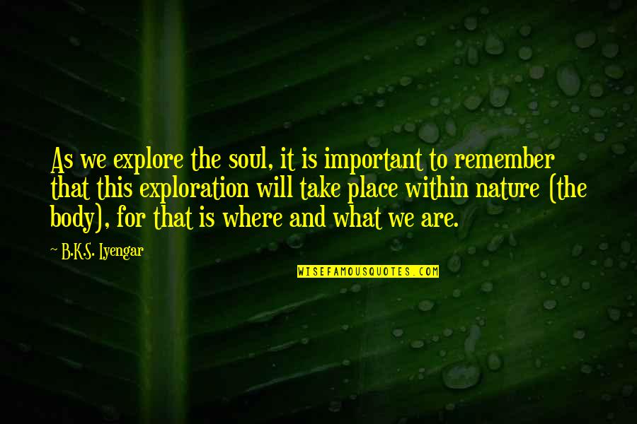 Vittorio Pozzo Quotes By B.K.S. Iyengar: As we explore the soul, it is important Vittorio Pozzo Quotes By B.K.S. Iyengar: As we explore the soul, it is important