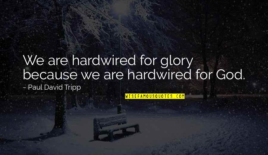 Viv Albertine Quotes By Paul David Tripp: We are hardwired for glory because we are Viv Albertine Quotes By Paul David Tripp: We are hardwired for glory because we are
