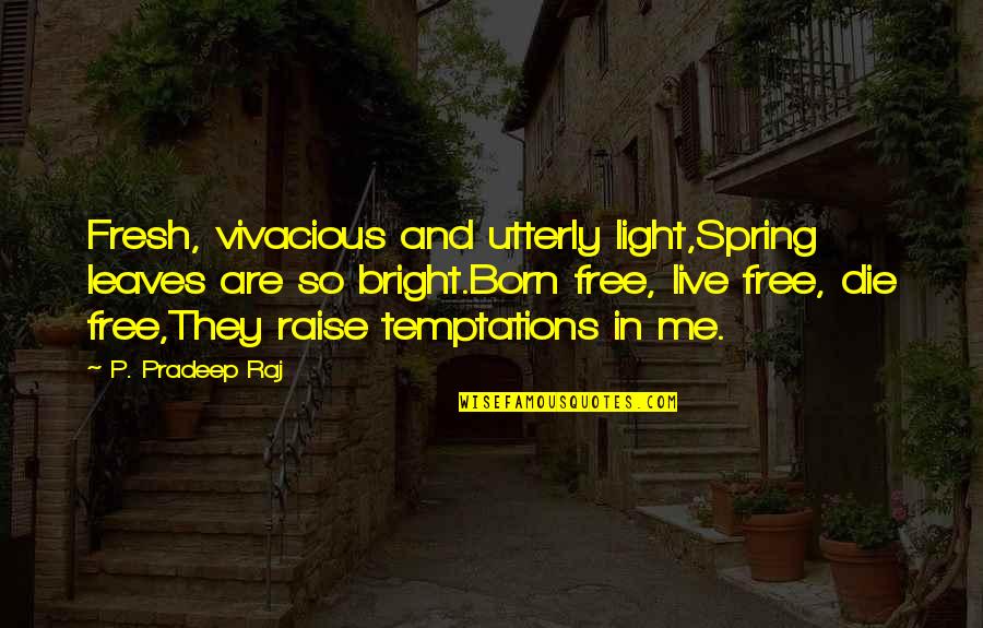 Vivacious Quotes By P. Pradeep Raj: Fresh, vivacious and utterly light,Spring leaves are so