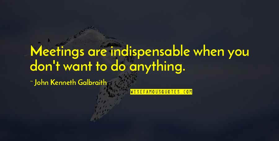 Vivamoscultura Quotes By John Kenneth Galbraith: Meetings are indispensable when you don't want to