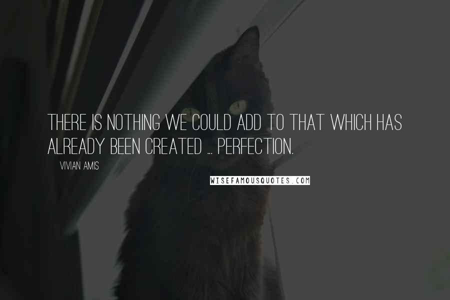 Vivian Amis quotes: There is nothing we could add to that which has already been created ... perfection.