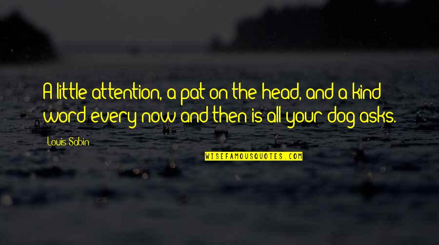 Vivimus Grondverbeteraar Quotes By Louis Sabin: A little attention, a pat on the head,