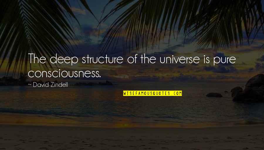 Vivotech Quotes By David Zindell: The deep structure of the universe is pure Vivotech Quotes By David Zindell: The deep structure of the universe is pure