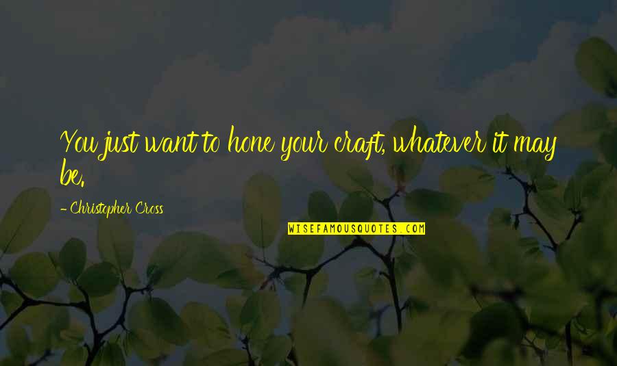 Viziera Quotes By Christopher Cross: You just want to hone your craft, whatever