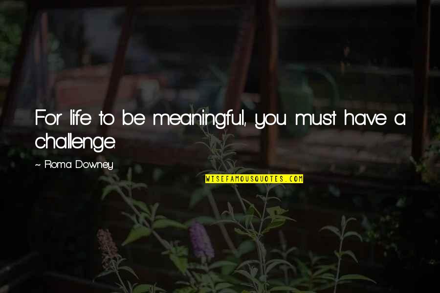Vizigoths Quotes By Roma Downey: For life to be meaningful, you must have
