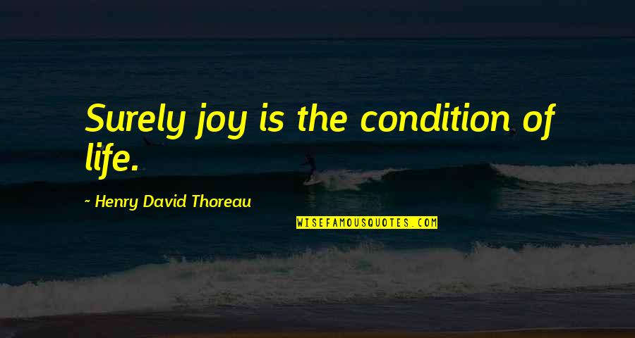 Vkontakte Quotes By Henry David Thoreau: Surely joy is the condition of life.