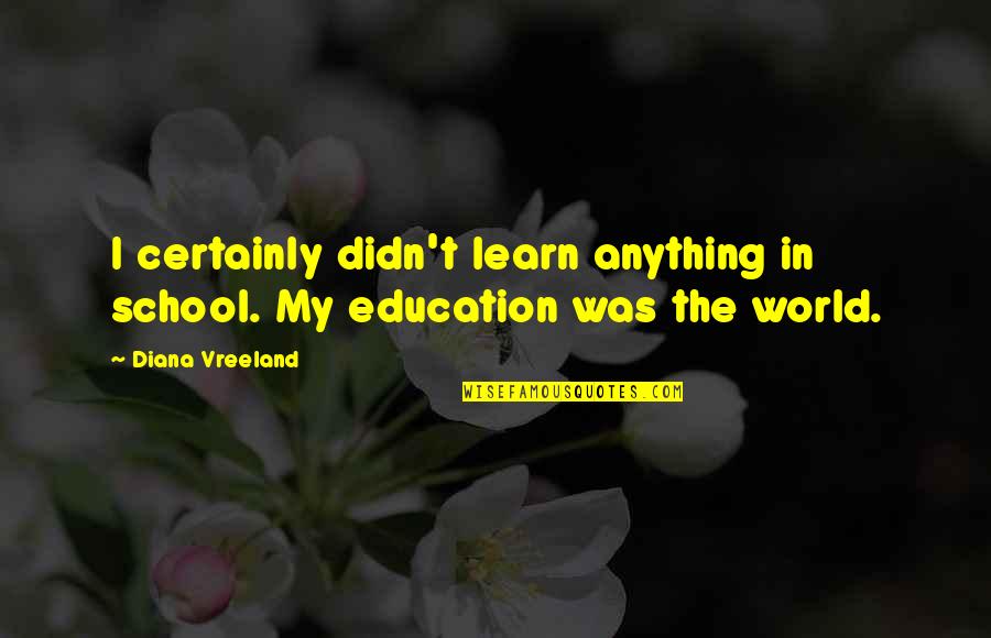 Vladavina Luja Quotes By Diana Vreeland: I certainly didn't learn anything in school. My