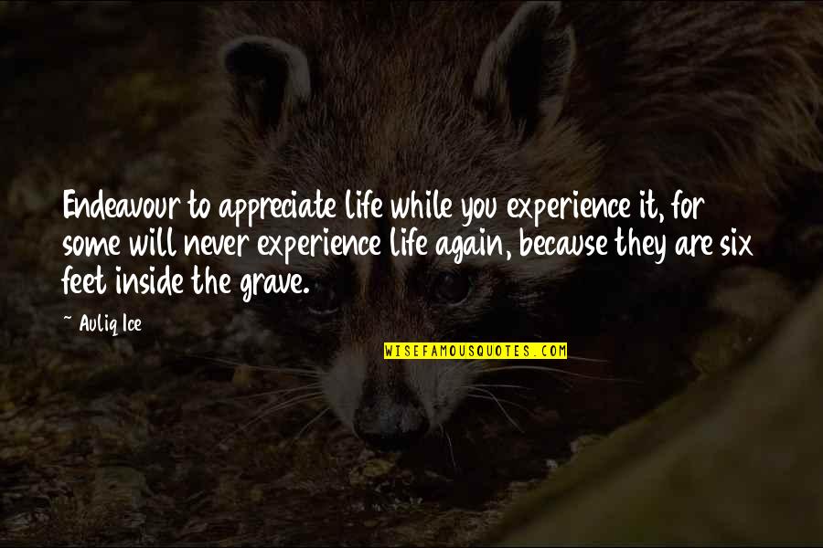 Vladicanski Quotes By Auliq Ice: Endeavour to appreciate life while you experience it, Vladicanski Quotes By Auliq Ice: Endeavour to appreciate life while you experience it,