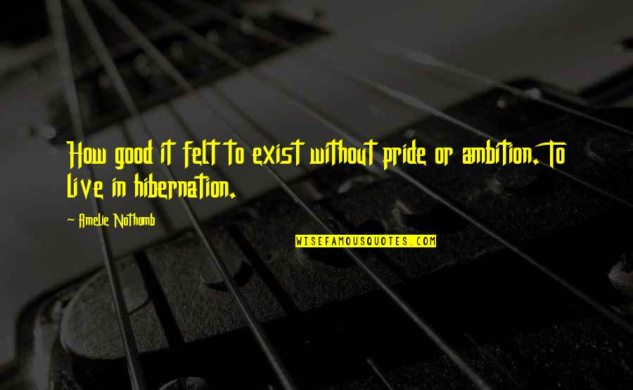 Vladimir Komarov Quotes By Amelie Nothomb: How good it felt to exist without pride