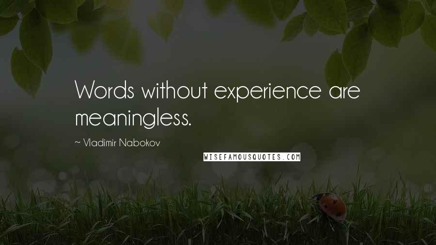 Vladimir Nabokov quotes: Words without experience are meaningless.