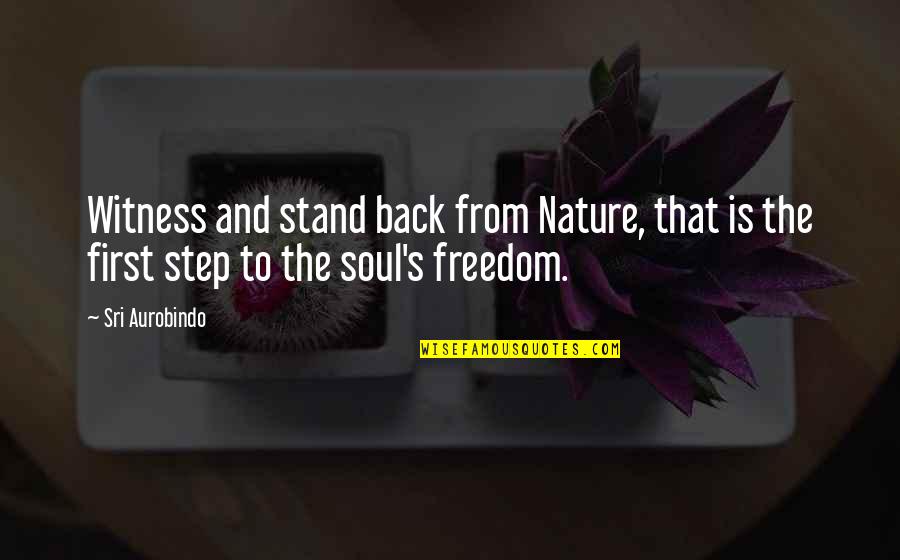 Vladka Meed Quotes By Sri Aurobindo: Witness and stand back from Nature, that is