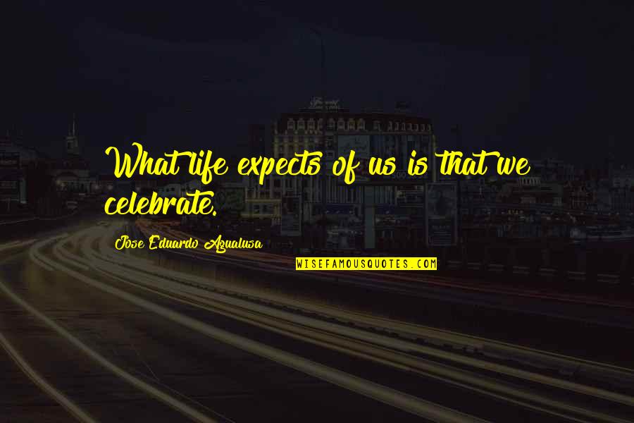 Vlassides Quotes By Jose Eduardo Agualusa: What life expects of us is that we