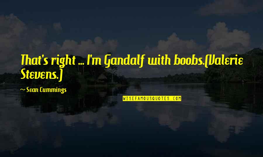 Vlastita Imenica Quotes By Sean Cummings: That's right ... I'm Gandalf with boobs.(Valerie Stevens.) Vlastita Imenica Quotes By Sean Cummings: That's right ... I'm Gandalf with boobs.(Valerie Stevens.)