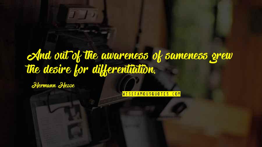 Vleminckx Cedric Quotes By Hermann Hesse: And out of the awareness of sameness grew