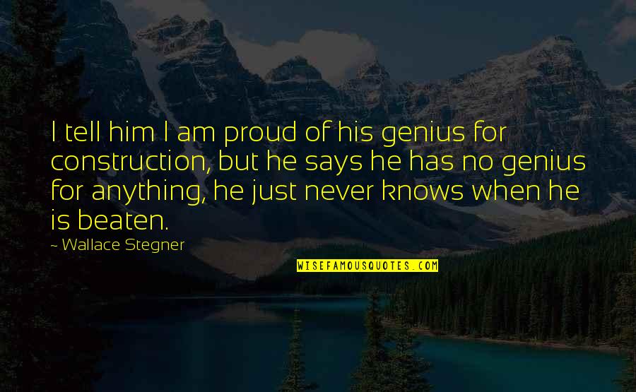 Vliestapete Quotes By Wallace Stegner: I tell him I am proud of his
