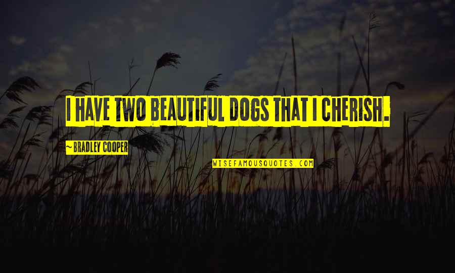 Vlmendezdc Quotes By Bradley Cooper: I have two beautiful dogs that I cherish. Vlmendezdc Quotes By Bradley Cooper: I have two beautiful dogs that I cherish.
