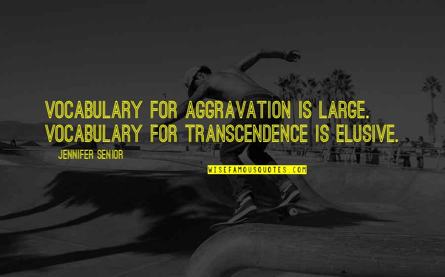 Vocabulary's Quotes By Jennifer Senior: Vocabulary for aggravation is large. Vocabulary for transcendence