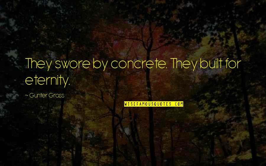 Voegele Paver Quotes By Gunter Grass: They swore by concrete. They built for eternity.