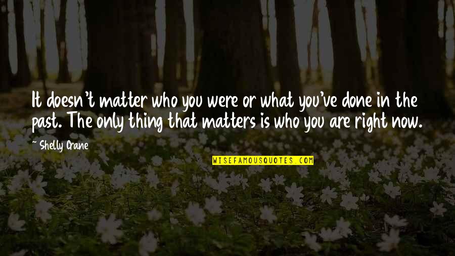 Voegelin Dictionary Quotes By Shelly Crane: It doesn't matter who you were or what