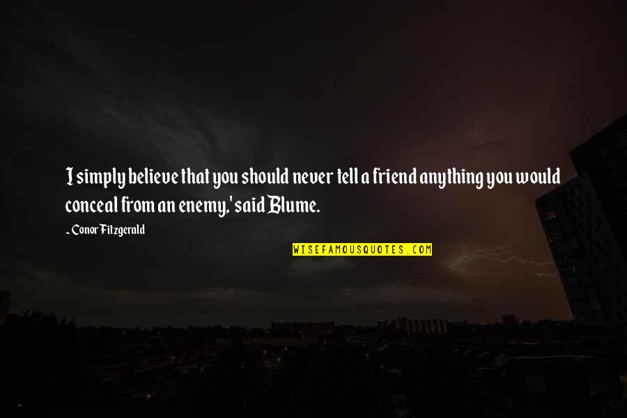 Vogelschutz Fenster Quotes By Conor Fitzgerald: I simply believe that you should never tell