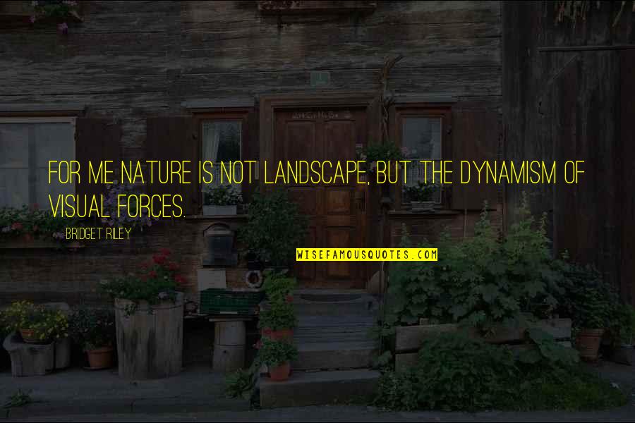 Vogiatzis Yiannis Quotes By Bridget Riley: For me nature is not landscape, but the