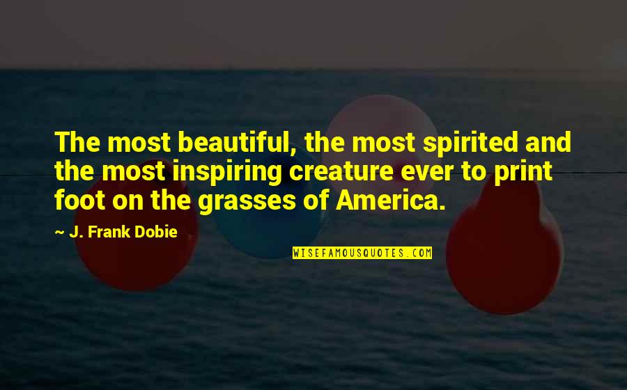 Voice And Viral Company Quotes By J. Frank Dobie: The most beautiful, the most spirited and the