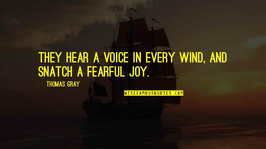 Voice In The Wind Quotes By Thomas Gray: They hear a voice in every wind, And