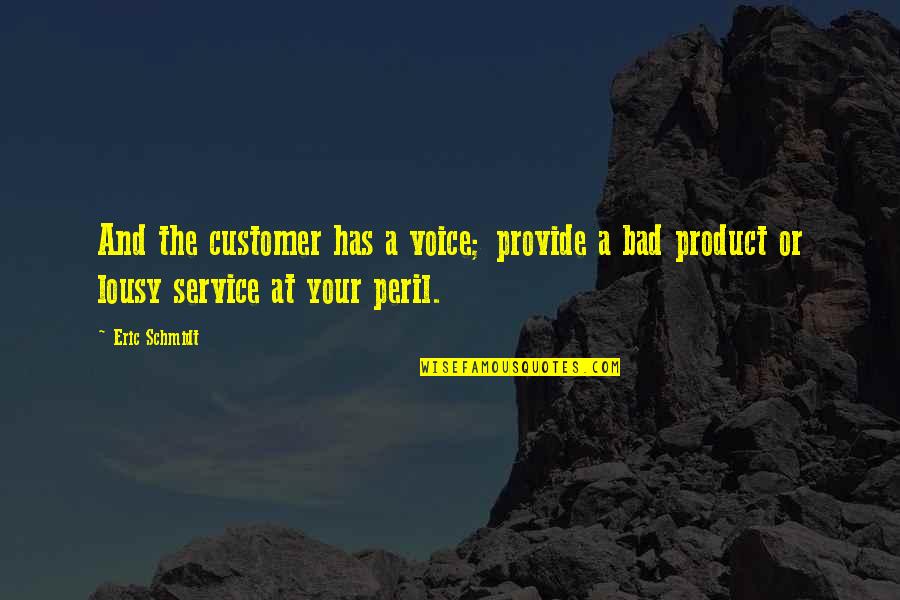 Voice Of Customer Quotes By Eric Schmidt: And the customer has a voice; provide a