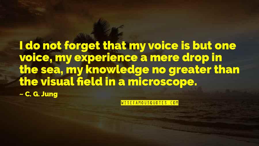 Voice Of Experience Quotes By C. G. Jung: I do not forget that my voice is