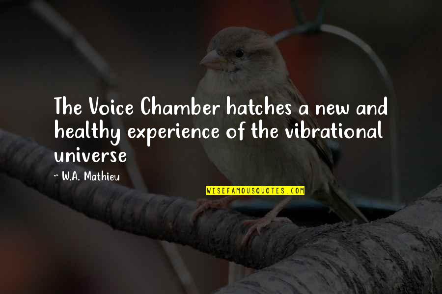 Voice Of Experience Quotes By W.A. Mathieu: The Voice Chamber hatches a new and healthy
