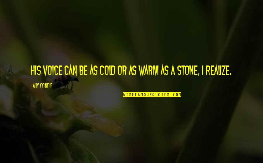 Voice Warm Up Quotes By Ally Condie: His voice can be as cold or as