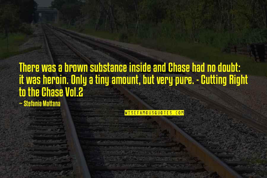 Vol Quotes By Stefania Mattana: There was a brown substance inside and Chase