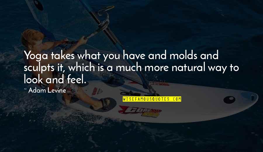 Volcanes En Quotes By Adam Levine: Yoga takes what you have and molds and Volcanes En Quotes By Adam Levine: Yoga takes what you have and molds and