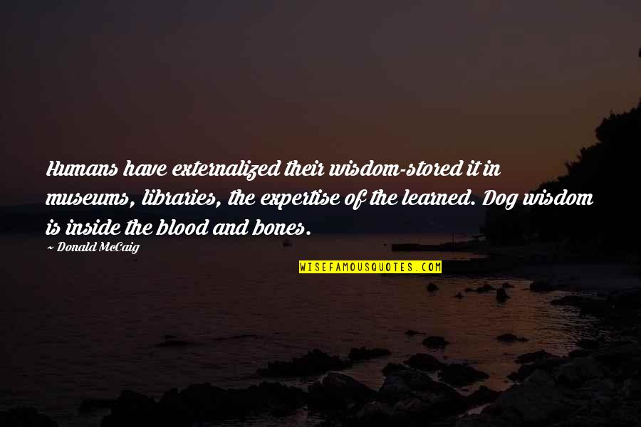 Volcheck On Ray Quotes By Donald McCaig: Humans have externalized their wisdom-stored it in museums, Volcheck On Ray Quotes By Donald McCaig: Humans have externalized their wisdom-stored it in museums,