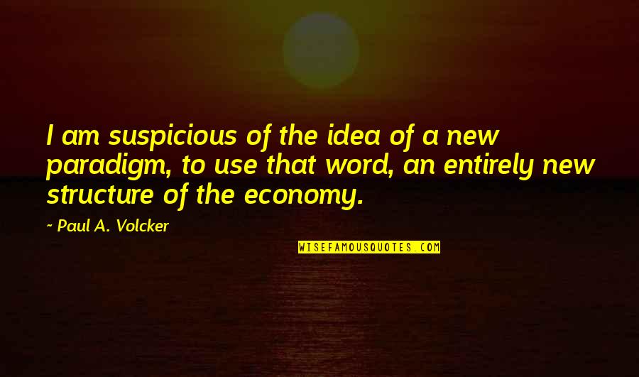Volcker Quotes By Paul A. Volcker: I am suspicious of the idea of a