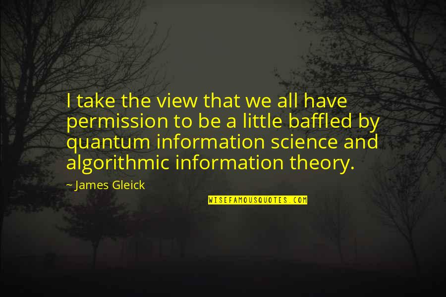 Volgens In English Quotes By James Gleick: I take the view that we all have