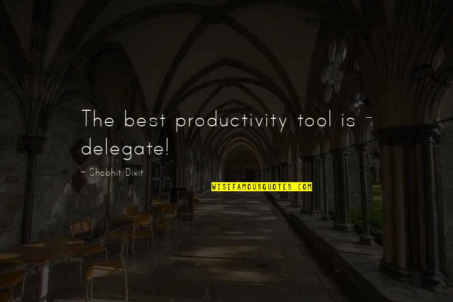 Volkempfanger Quotes By Shobhit Dixit: The best productivity tool is - delegate!