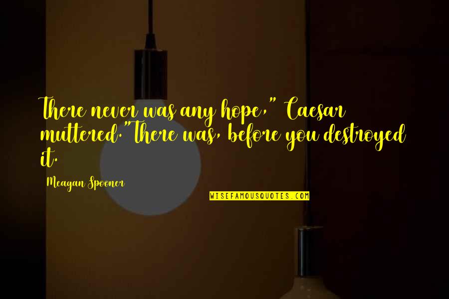 Volkmann Ischemia Quotes By Meagan Spooner: There never was any hope," Caesar muttered."There was,