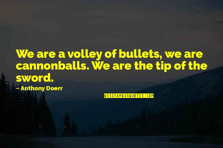 Volley Quotes By Anthony Doerr: We are a volley of bullets, we are